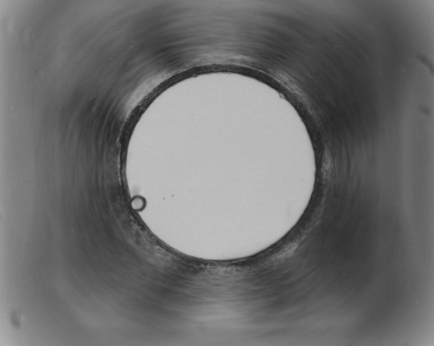 X0000103970877200809191356