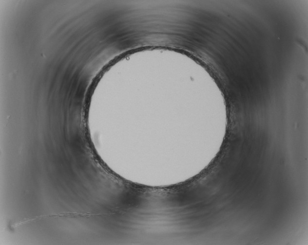 X0000103970880200809191356