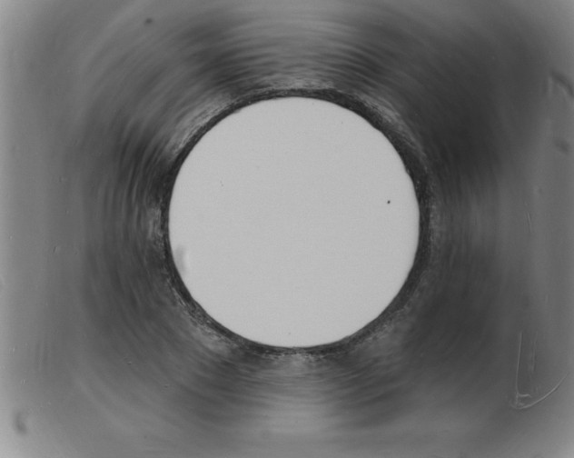 X0000103970881200809191356