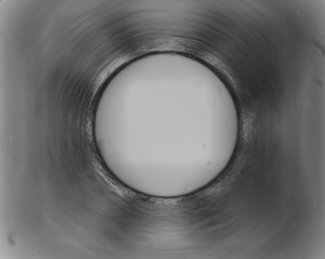 X0000103970882200809191356