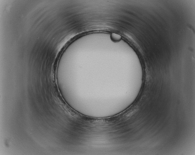 X0000103970883200809191356