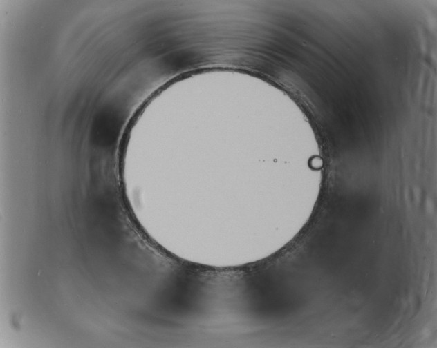 X0000103970884200809191356