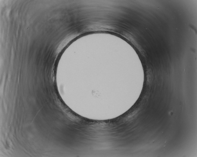 X0000103970885200809191356