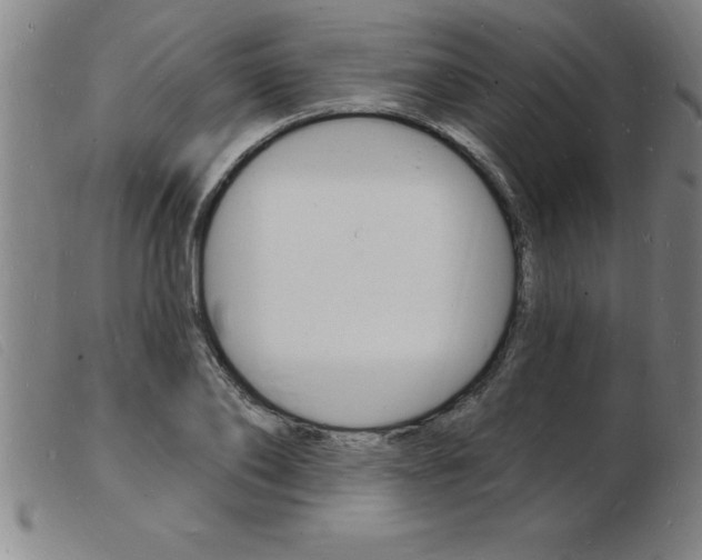 X0000103970886200809191356