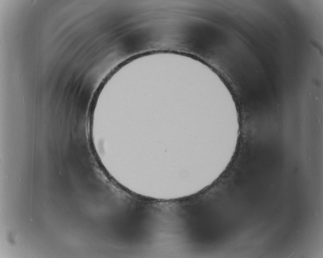 X0000103970888200809191356