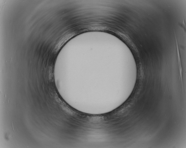 X0000103970889200809191356