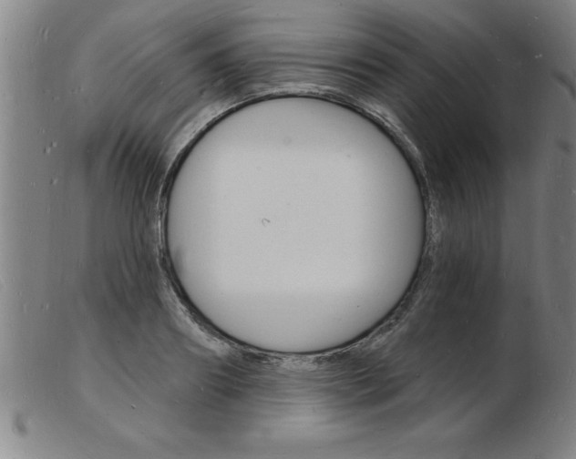 X0000103970890200809191356
