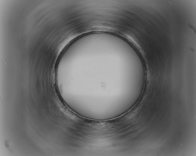 X0000103970891200809191356