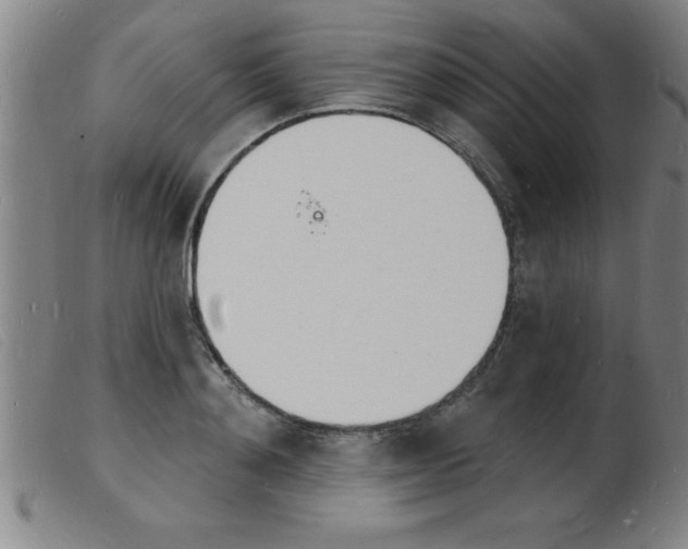 X0000103970892200809191356