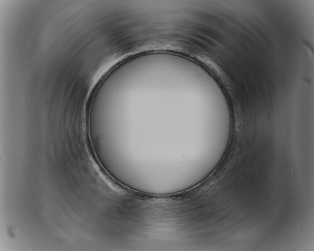 X0000103970894200809191356