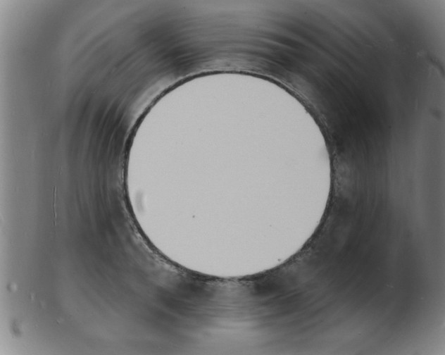 X0000103970896200809191356