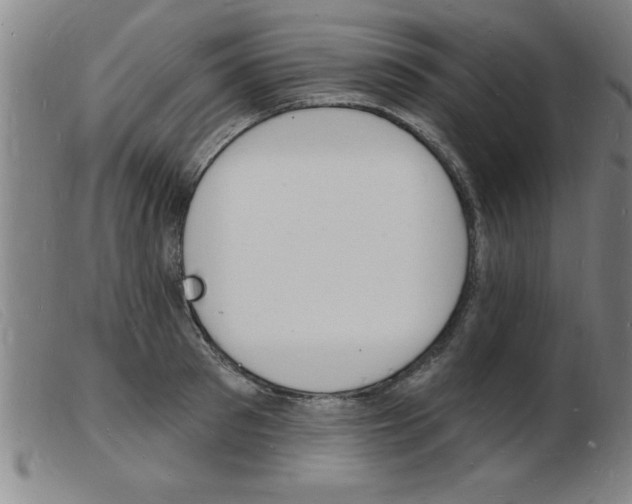 X0000103970897200809191356