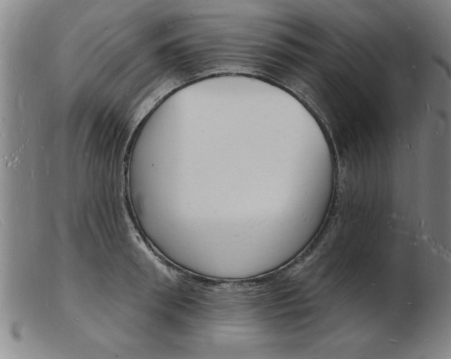 X0000103970898200809191356