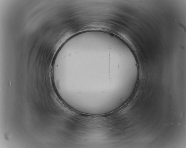 X0000103970899200809191356