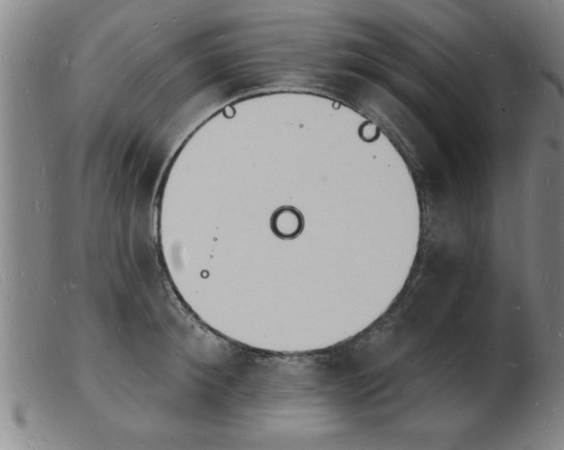 X0000103970900200809191356