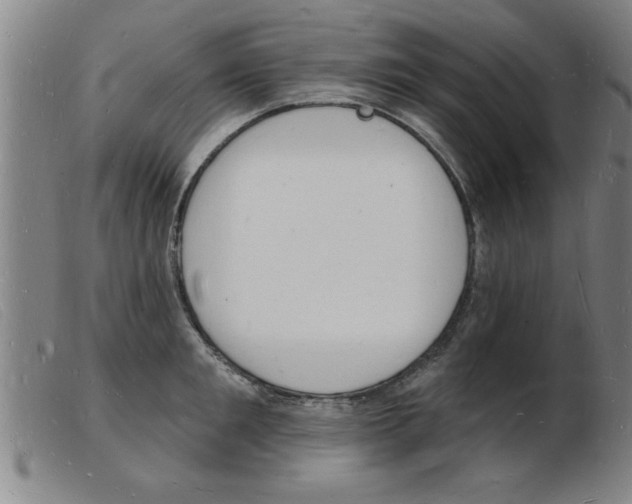 X0000103970901200809191356