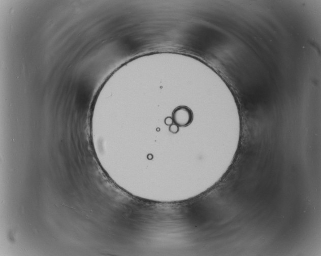 X0000103970904200809191355
