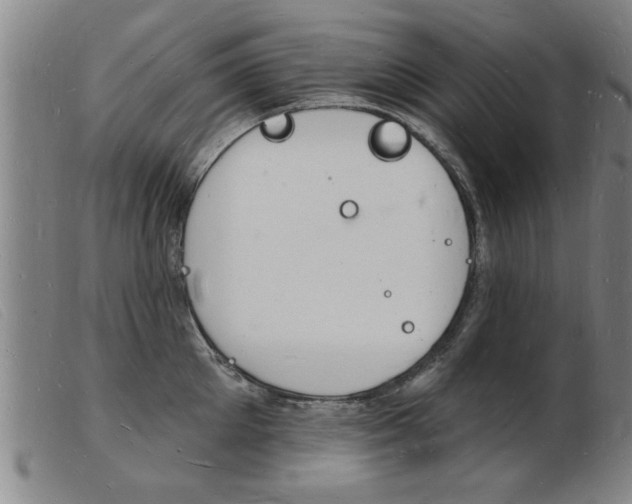 X0000103970905200809191355