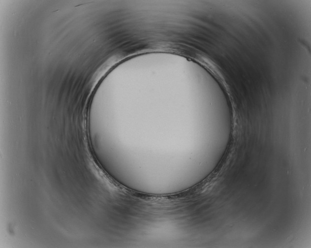 X0000103970907200809191355