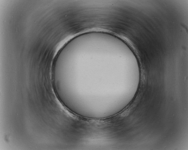 X0000103970910200809191355