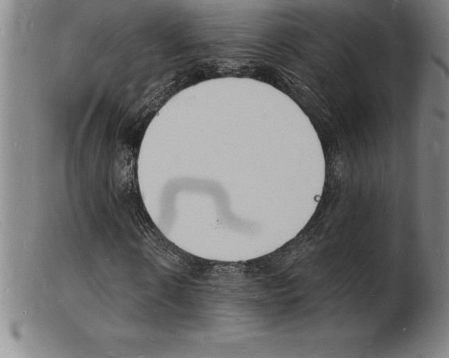 X0000103970914200809191355