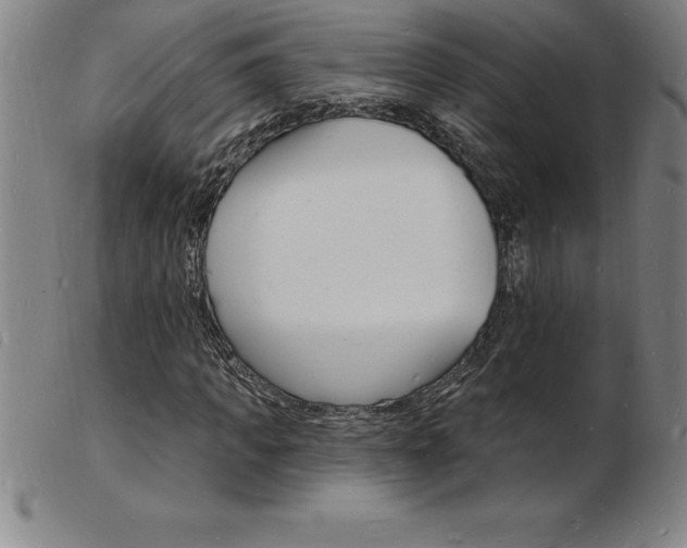 X0000103970917200809191355