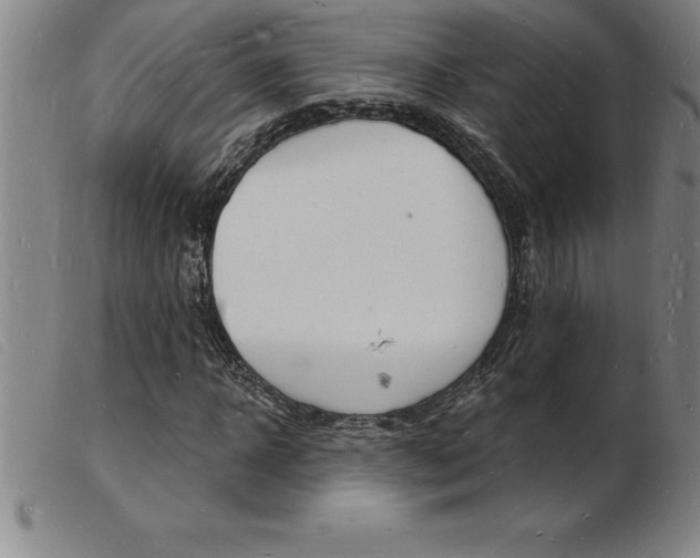 X0000103970918200809191355