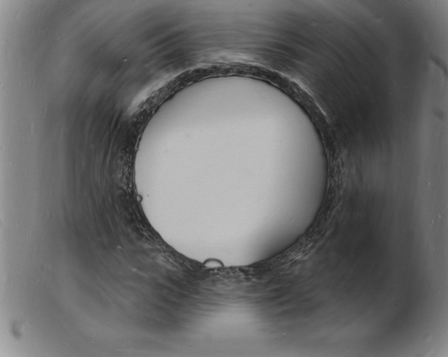 X0000103970919200809191355