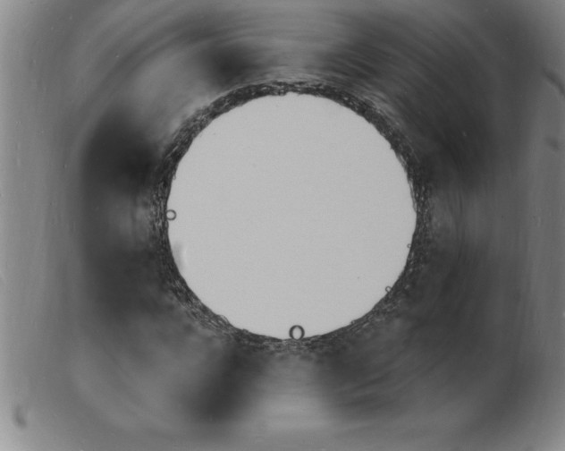 X0000103970920200809191355