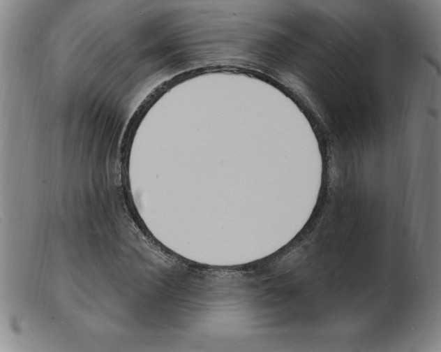 X0000103970924200809191355