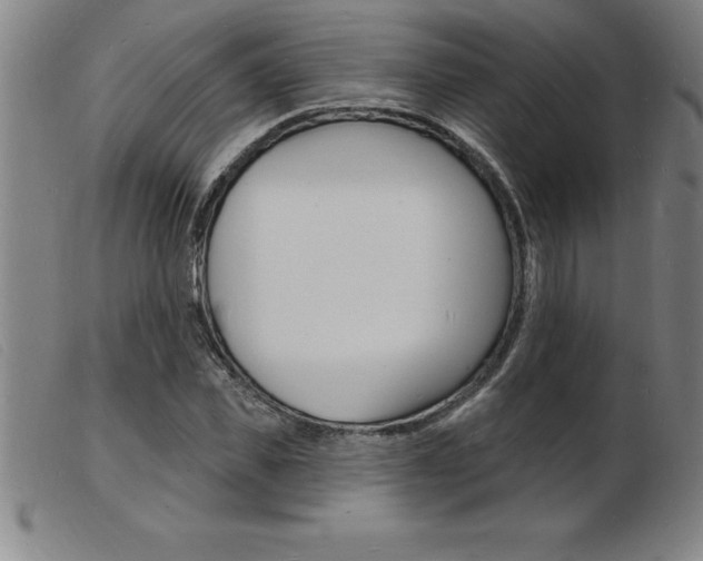 X0000103970925200809191355
