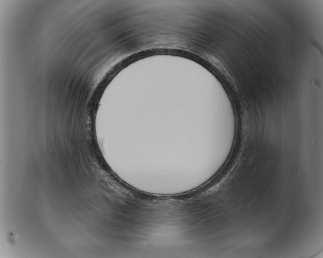 X0000103970926200809191355