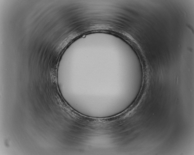 X0000103970929200809191355