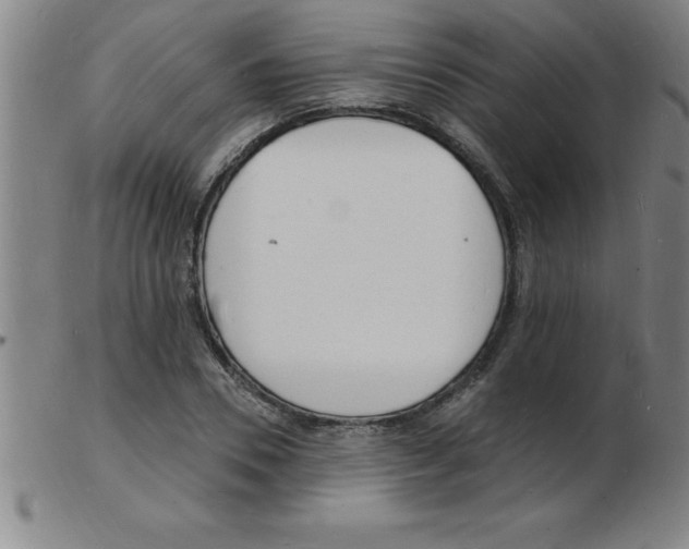 X0000103970930200809191355