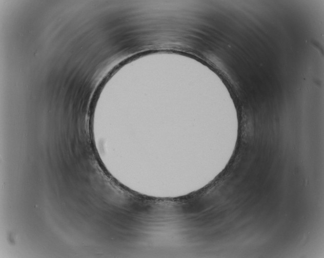 X0000103970932200809191355