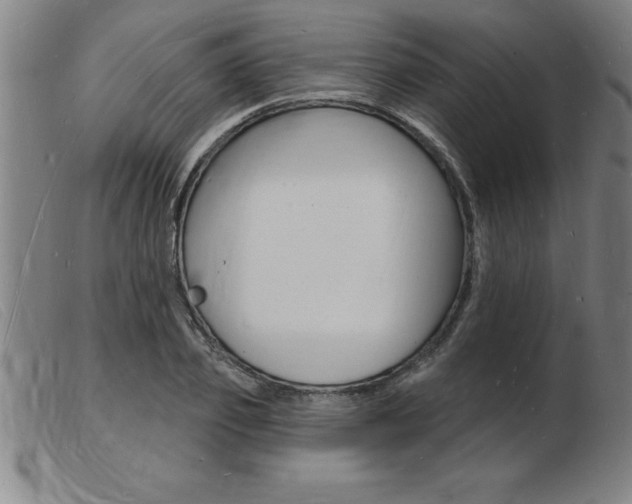 X0000103970933200809191355