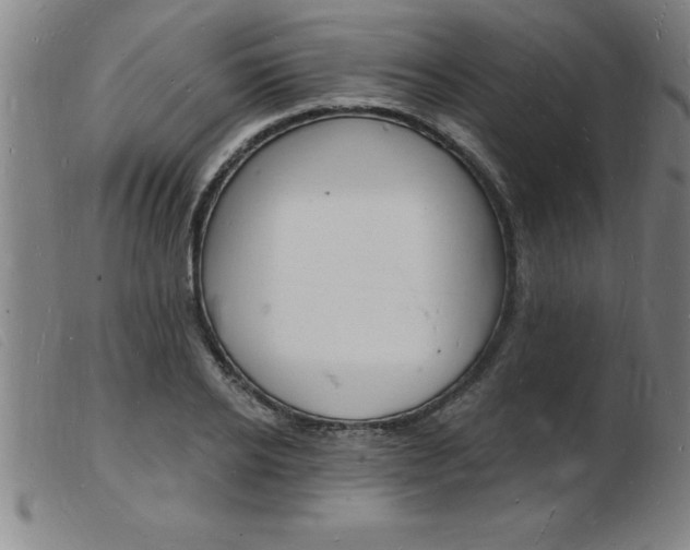 X0000103970934200809191355