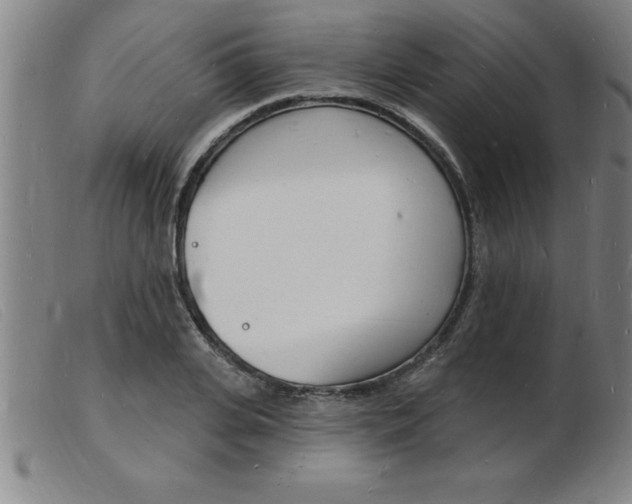 X0000103970935200809191355
