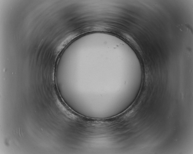 X0000103970938200809191355
