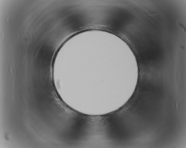 X0000103970940200809191355