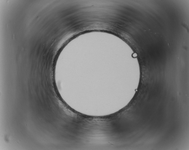 X0000103970942200809191355