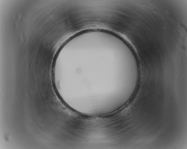 X0000103970943200809191355