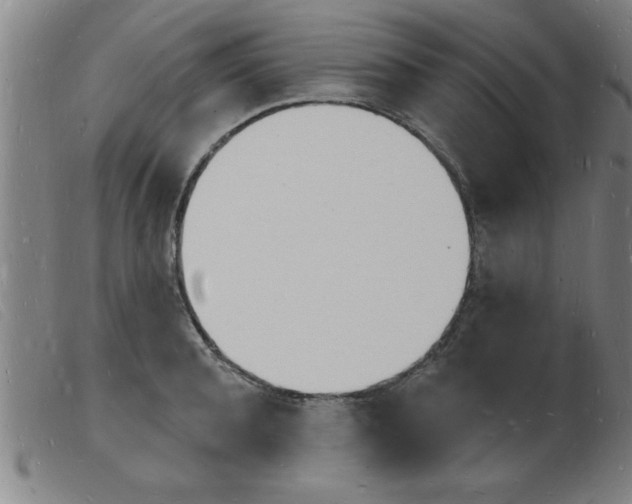 X0000103970944200809191355