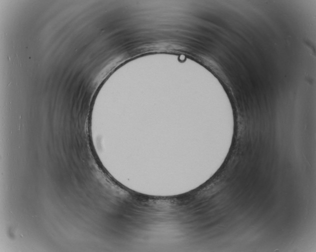 X0000103970946200809191355