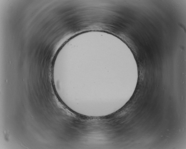 X0000103970950200809191355
