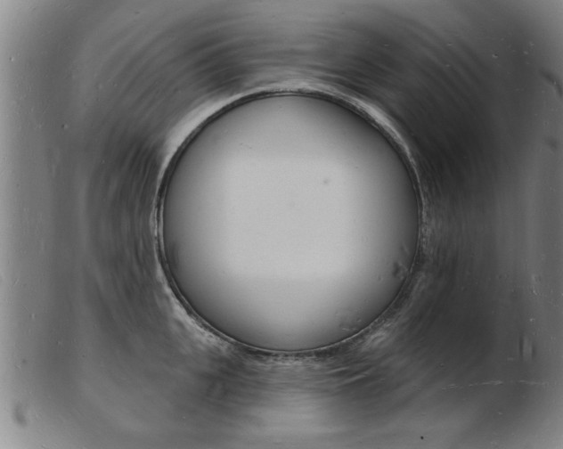 X0000103970951200809191355