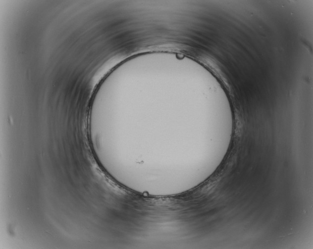 X0000103970952200809191355