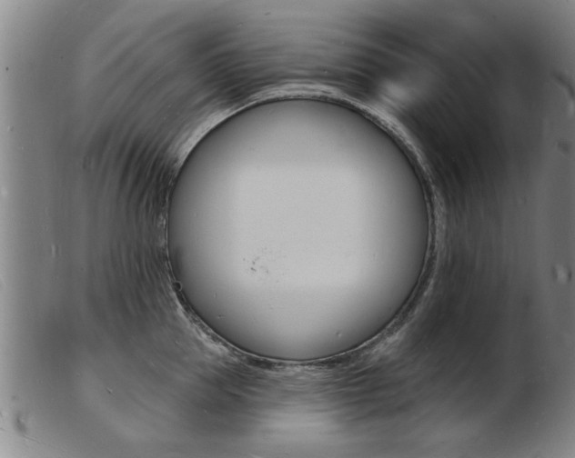 X0000103970953200809191355