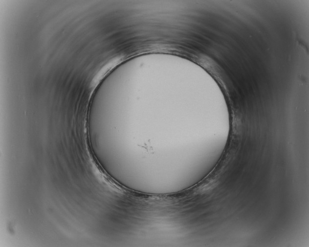 X0000103970954200809191355