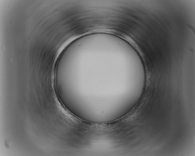 X0000103970955200809191355